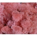 MECH Chrobotek Reniferowy ( 20. Pink ) 5 kg
