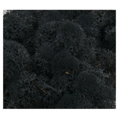MECH Chrobotek Reniferowy (12.Black) 50g