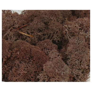 MECH Chrobotek Reniferowy (15.Brown) 50g