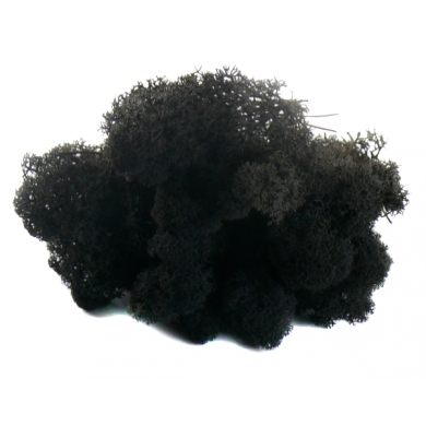 MECH Chrobotek Reniferowy ( 12. Black ) 5 kg