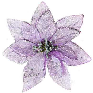 Poinsecja - główka BROKAT violet