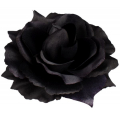 Róża satynowa główka black