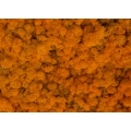 MECH Chrobotek Reniferowy (11.Orange) 2,5 kg