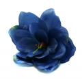 Amarylis główka kwiat Dk.blue / green