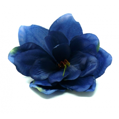 Amarylis główka kwiat Dk.blue / green