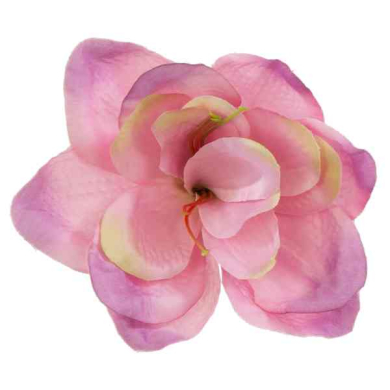 Amarylis główka kwiat Dusty Pink