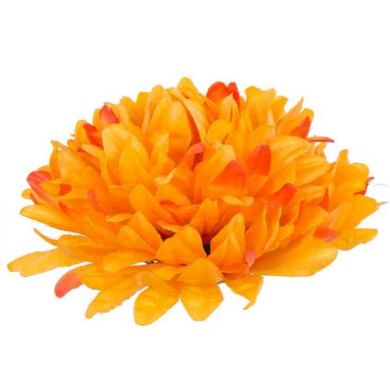 Chryzantema główka kwiat Orange