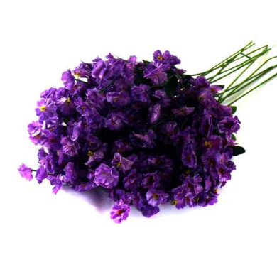 Gipsówka gałązka kwiaty Dk.Violet 12 szt