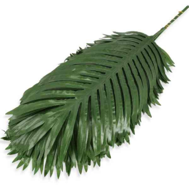 Liść palmy PALMA Dk.Green Liść palmy PALMA Dk.Green