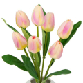 Tulipan w pąku Bukiet 7 kwiatów Cream/Pink