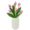 Tulipan w pąku Bukiet 7 kwiatów Cream / Purple