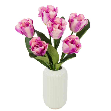 Tulipan papuzi Bukiet 7 kwiatów White / Purple