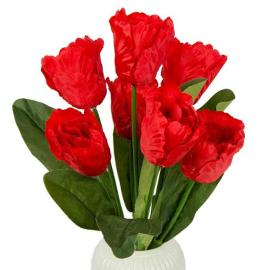 Tulipan papuzi Bukiet 7 kwiatów Red