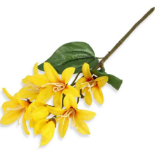 Forsycja gałązka z listkami Yellow