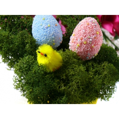 Kurczak 2 cm kurczaczek 60 szt