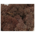 MECH Chrobotek Reniferowy (15.Brown) 50g