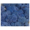 MECH Chrobotek Reniferowy 19.Lavender Blue 1 kg