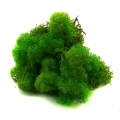 MECH Chrobotek Reniferowy 17.Light Green Grass 1 kg