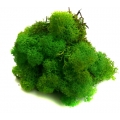 MECH Chrobotek Reniferowy (17.Light Green Grass) 2,5 kg