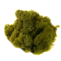 MECH Chrobotek Reniferowy (24.Olive Green) 50g
