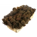 MECH Chrobotek Reniferowy (15.Brown) 5 kg