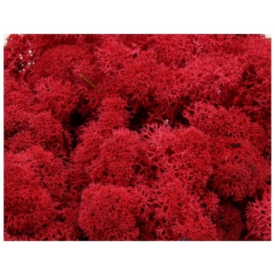 MECH Chrobotek Reniferowy (18.Carmin Red) 5 kg