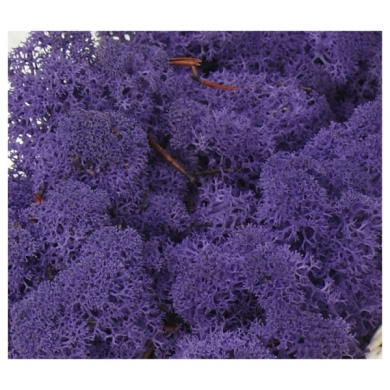 MECH Chrobotek Reniferowy (21.Violet) 200 g