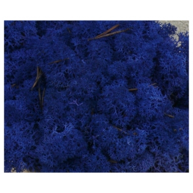 MECH Chrobotek Reniferowy (26.Azur Blue) 200 g