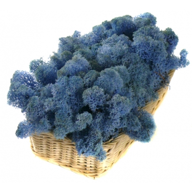 MECH Chrobotek Reniferowy (19.Lavender Blue) 200 g