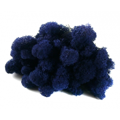 MECH Chrobotek Reniferowy (26.Azur Blue) 50g