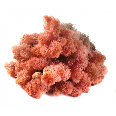 MECH Chrobotek Reniferowy (20.Pink) 200 g