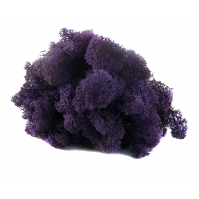 MECH Chrobotek Reniferowy ( 21.Violet ) 5 kg