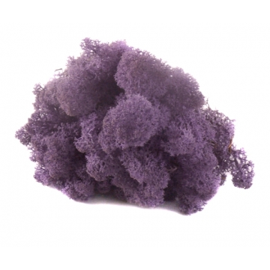MECH Chrobotek Reniferowy (21.Violet ) 50g