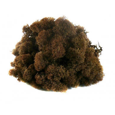 MECH Chrobotek Reniferowy (15.Brown) 200 g