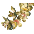 Storczyk gałązka CYMBIDIUM green/olive