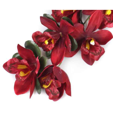 Storczyk gałązka CYMBIDIUM dk.red