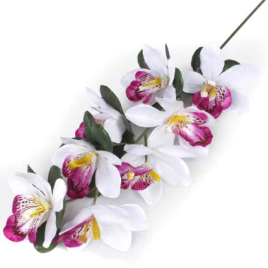 Storczyk gałązka CYMBIDIUM white/purple