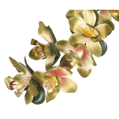 Storczyk gałązka CYMBIDIUM green/olive