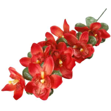 Storczyk gałązka CYMBIDIUM red/orange