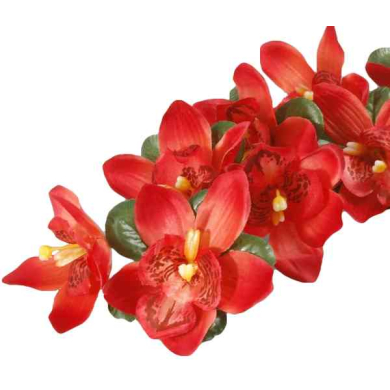 Storczyk gałązka CYMBIDIUM red/orange