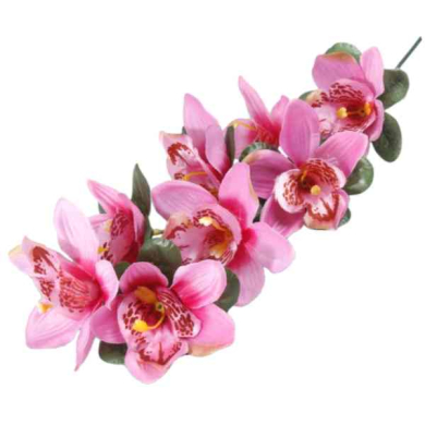 Storczyk gałązka CYMBIDIUM pink/purple