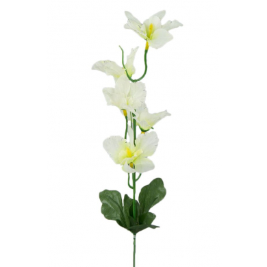 S120 Storczyk CYMBIDIUM gałązka MINI cream
