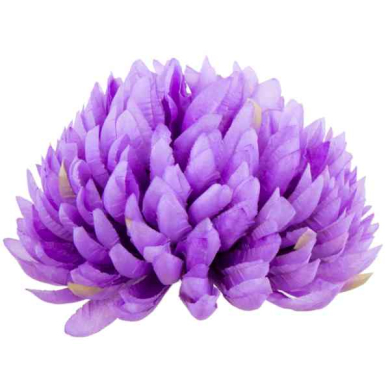 Chryzantema ananas główka 14 cm Kwiat violet
