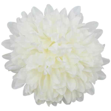Chryzantema główka 13 cm Cream