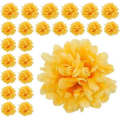 Chryzantema główka kwiat Yellow 24 szt