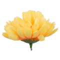 Chryzantema główka kwiat Yellow