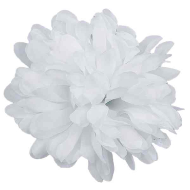 Chryzantema główka kwiat White