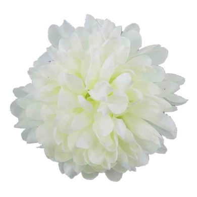 Chryzantema główka kwiat Cream