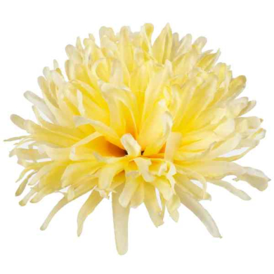 Chryzantema IGIEŁKA główka 13 cm Kwiat yellow
