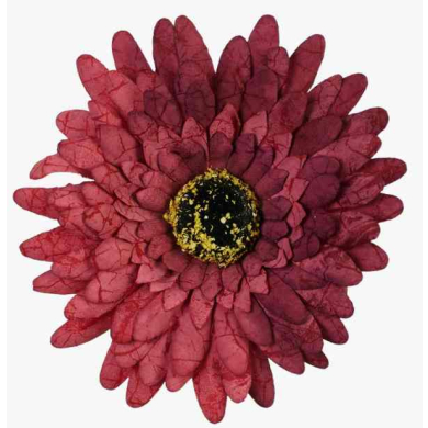 GERBERA główka 12 cm Burgund